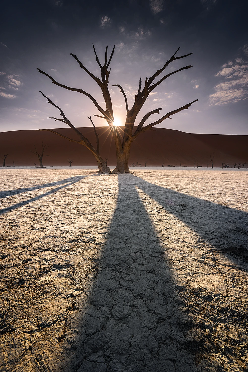 Deadvlei