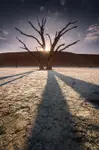 Deadvlei