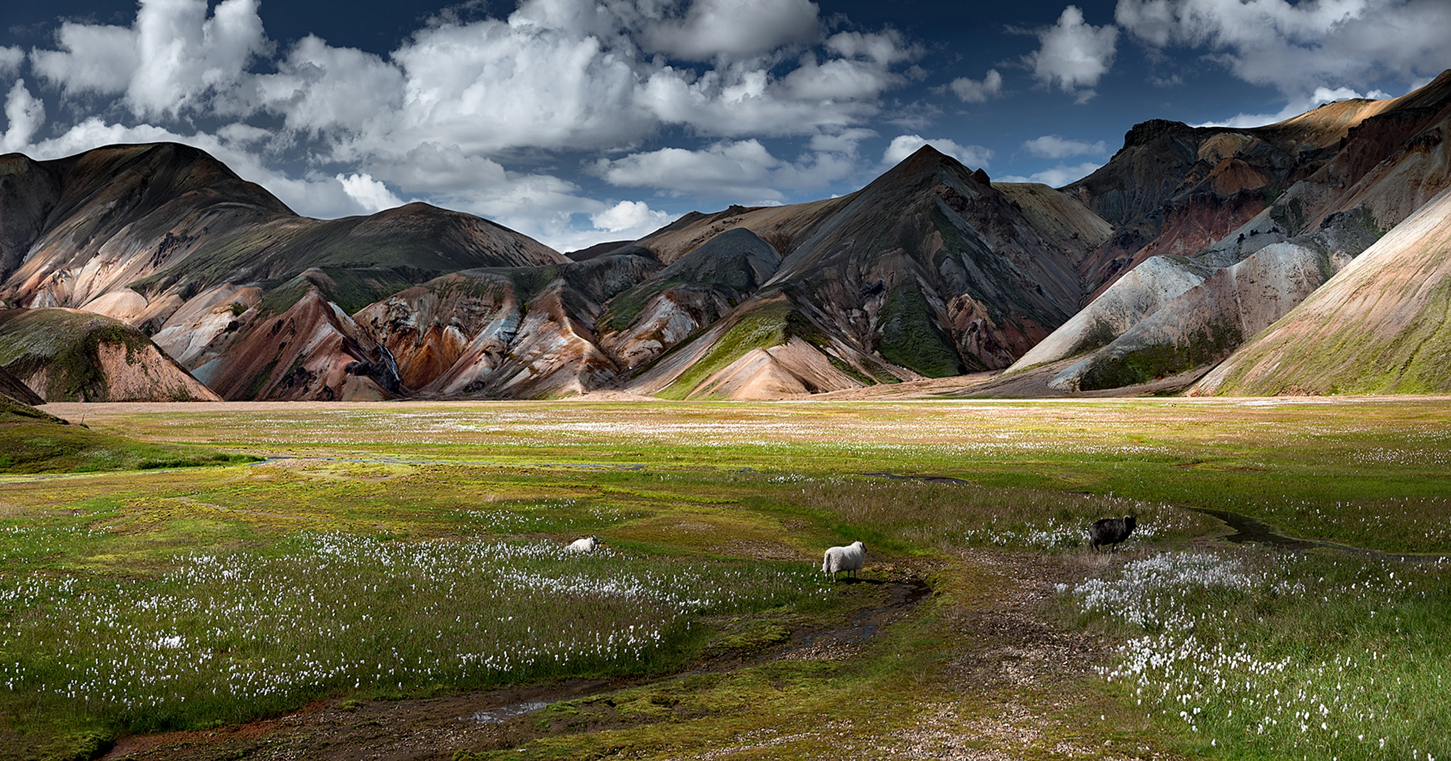 Landmannalaugar 