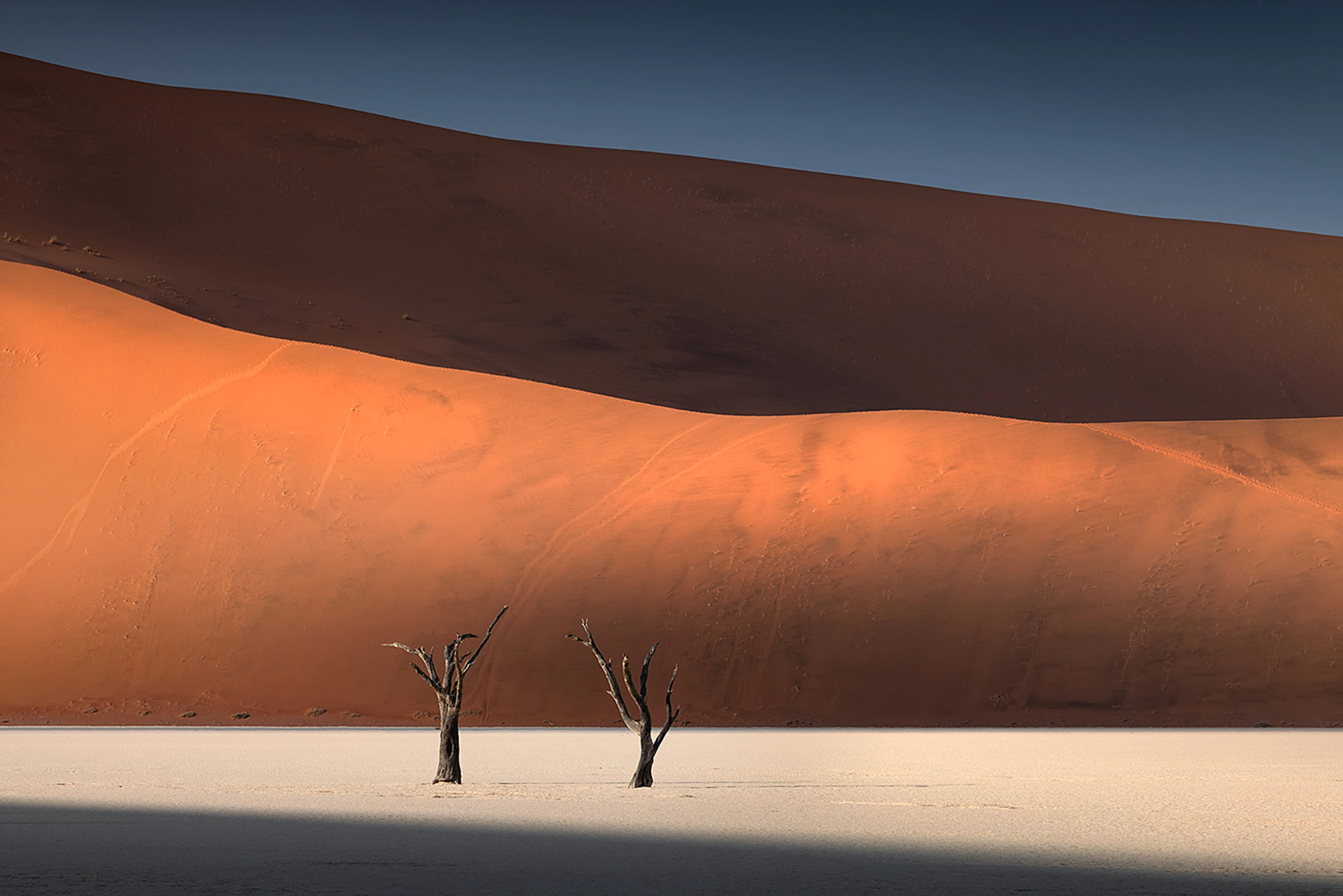 Dead Vlei II