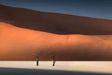 Dead Vlei II