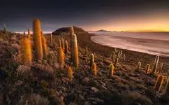 Salar de Uyuni