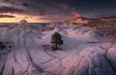 White Pocket