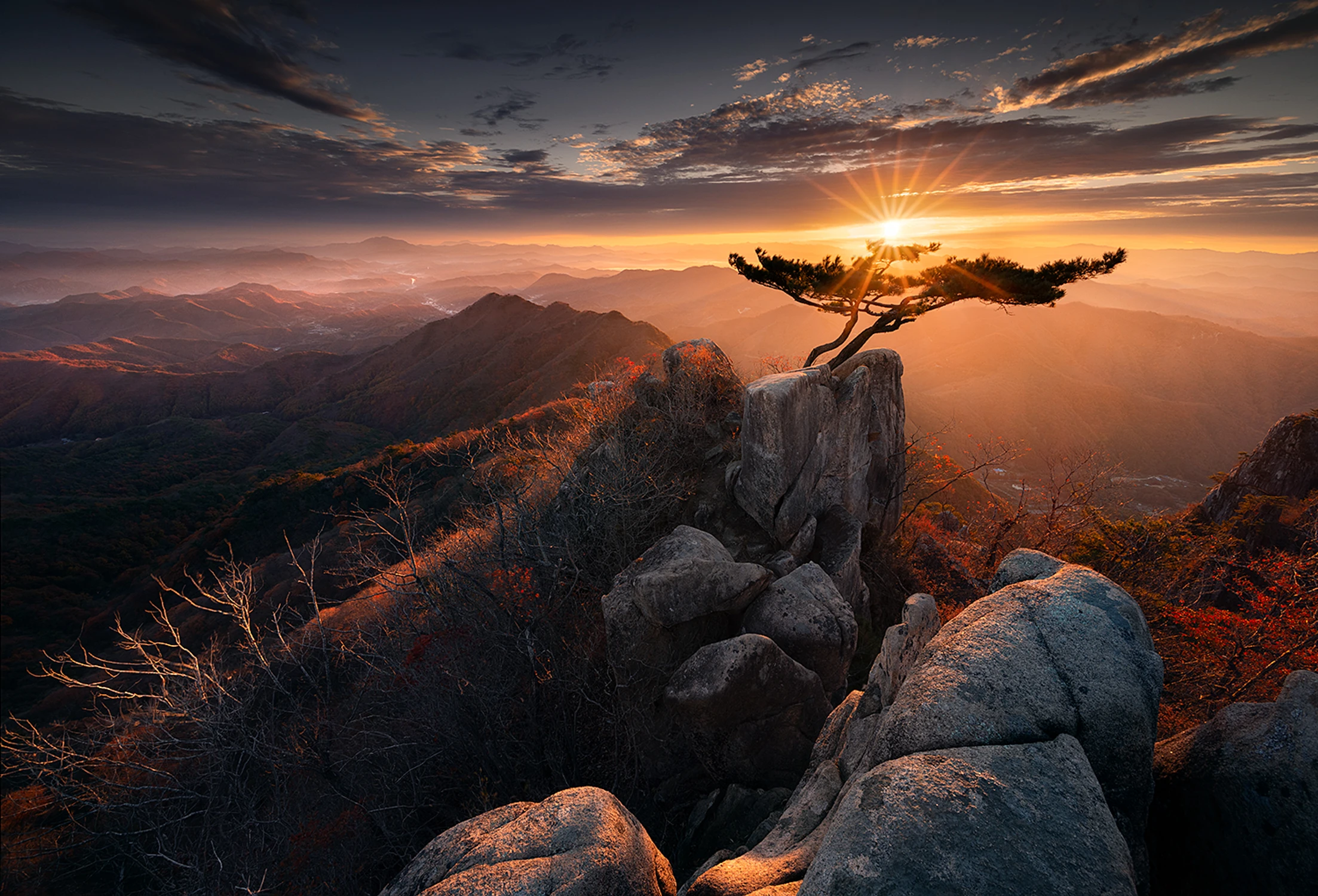 Samotna sosna w Daedunsan