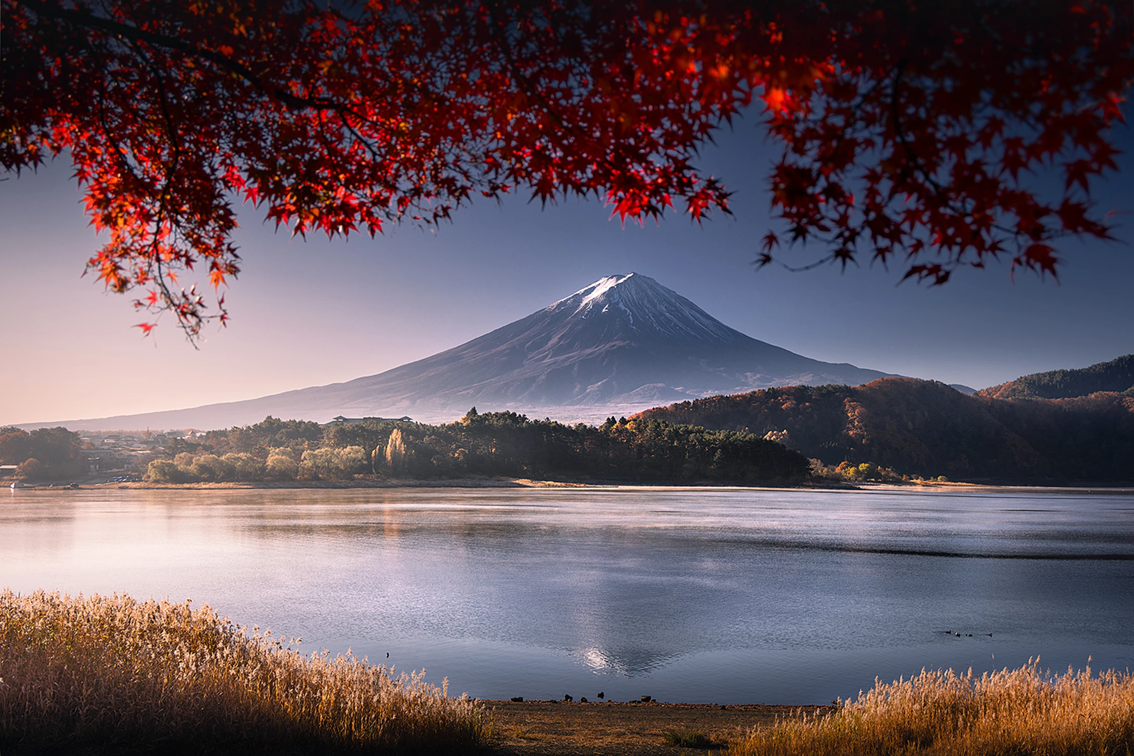 Jesienny poranek pod Fuji