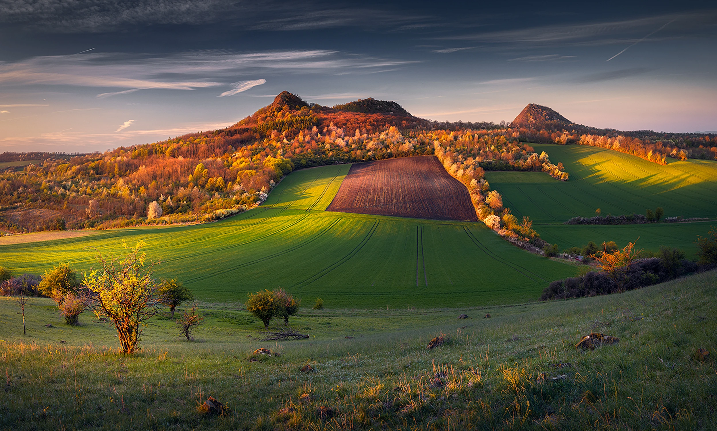 Poranek na Średniogórzu 