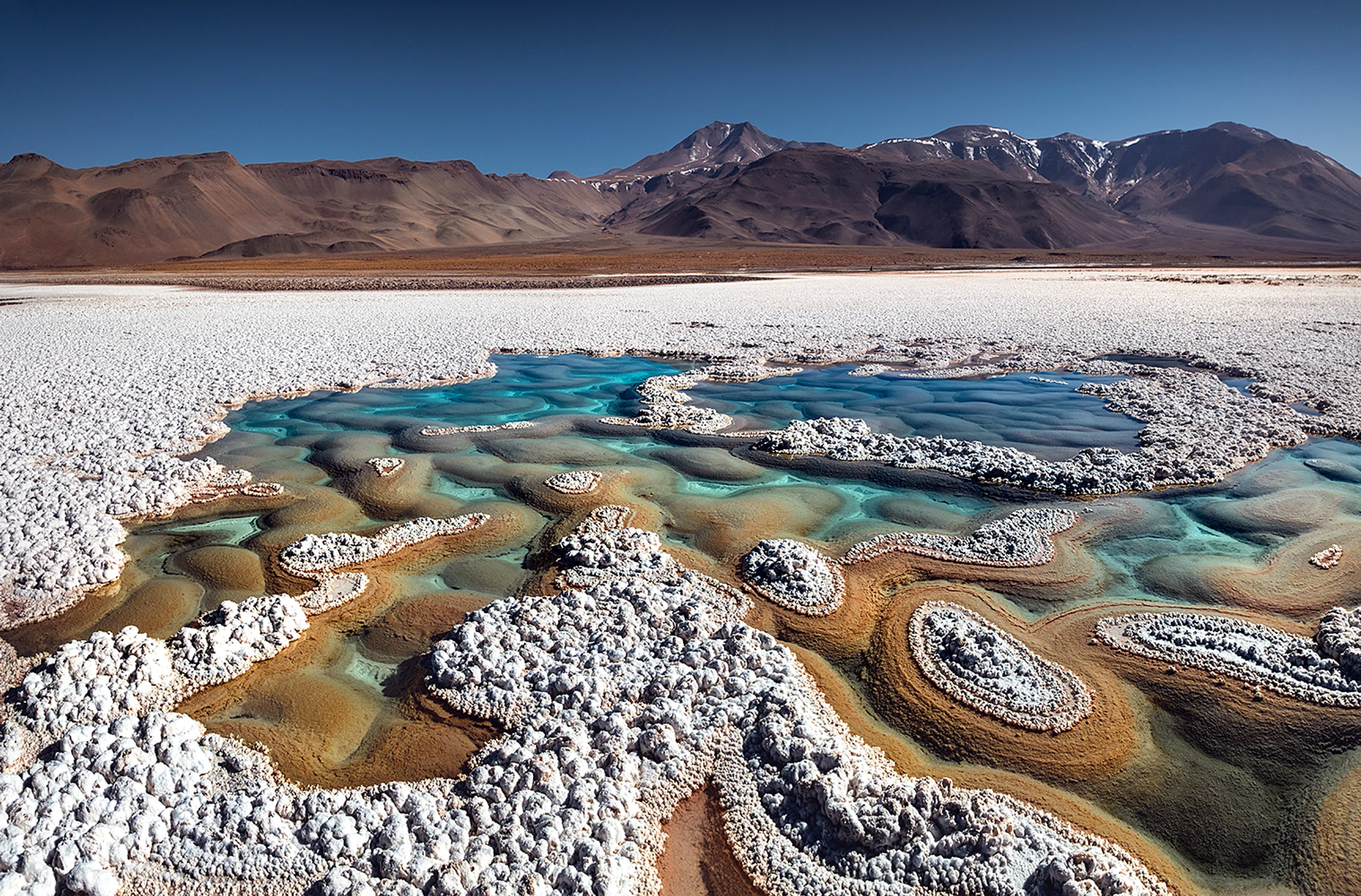 Salar Antofalla