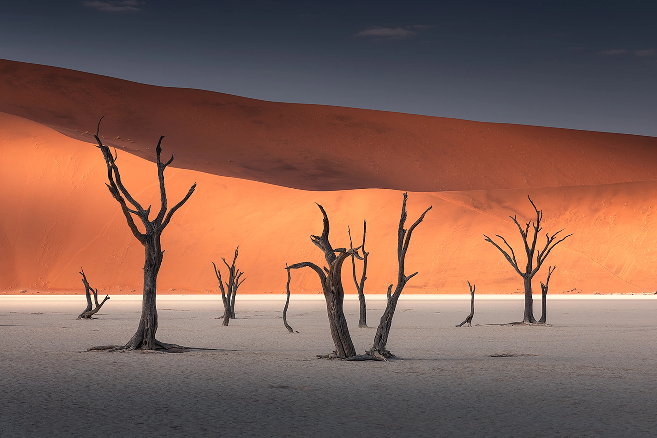 Dolina Śmierci Dead Vlei