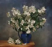 jaśminowo