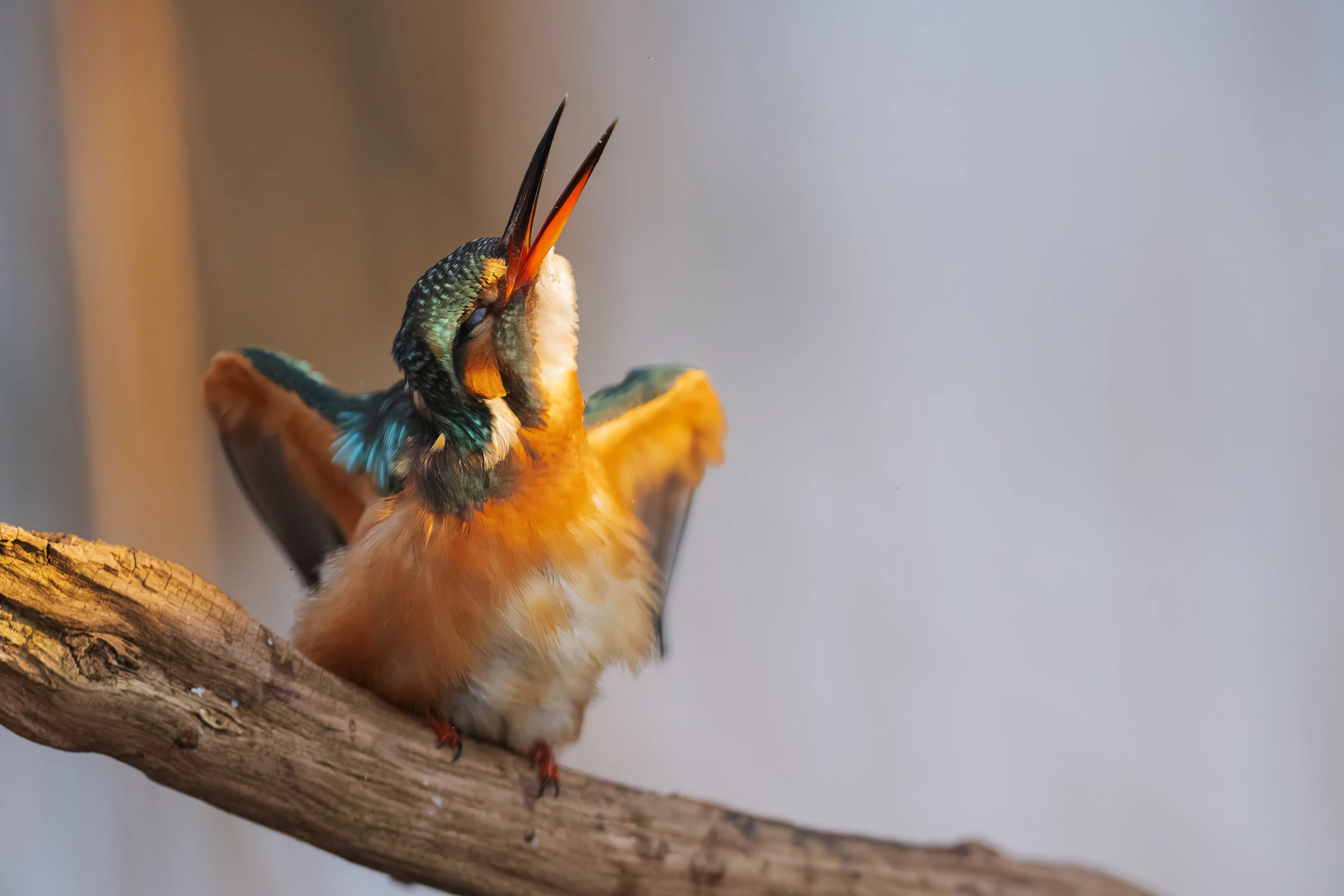 Tańczyć każdy może ;)