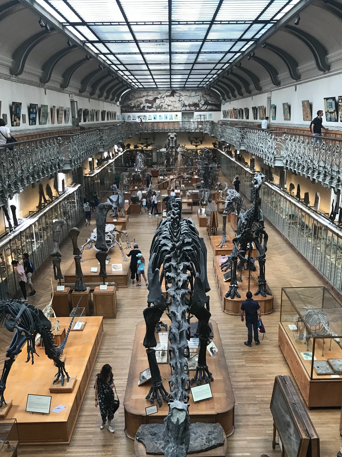 Natural History Museum - Paris