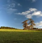 taniec w słońcu