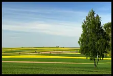Z otuliny KPK #1