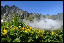 Widok na zachód