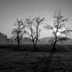 The Last Three Samurai