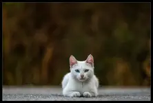 ^^
