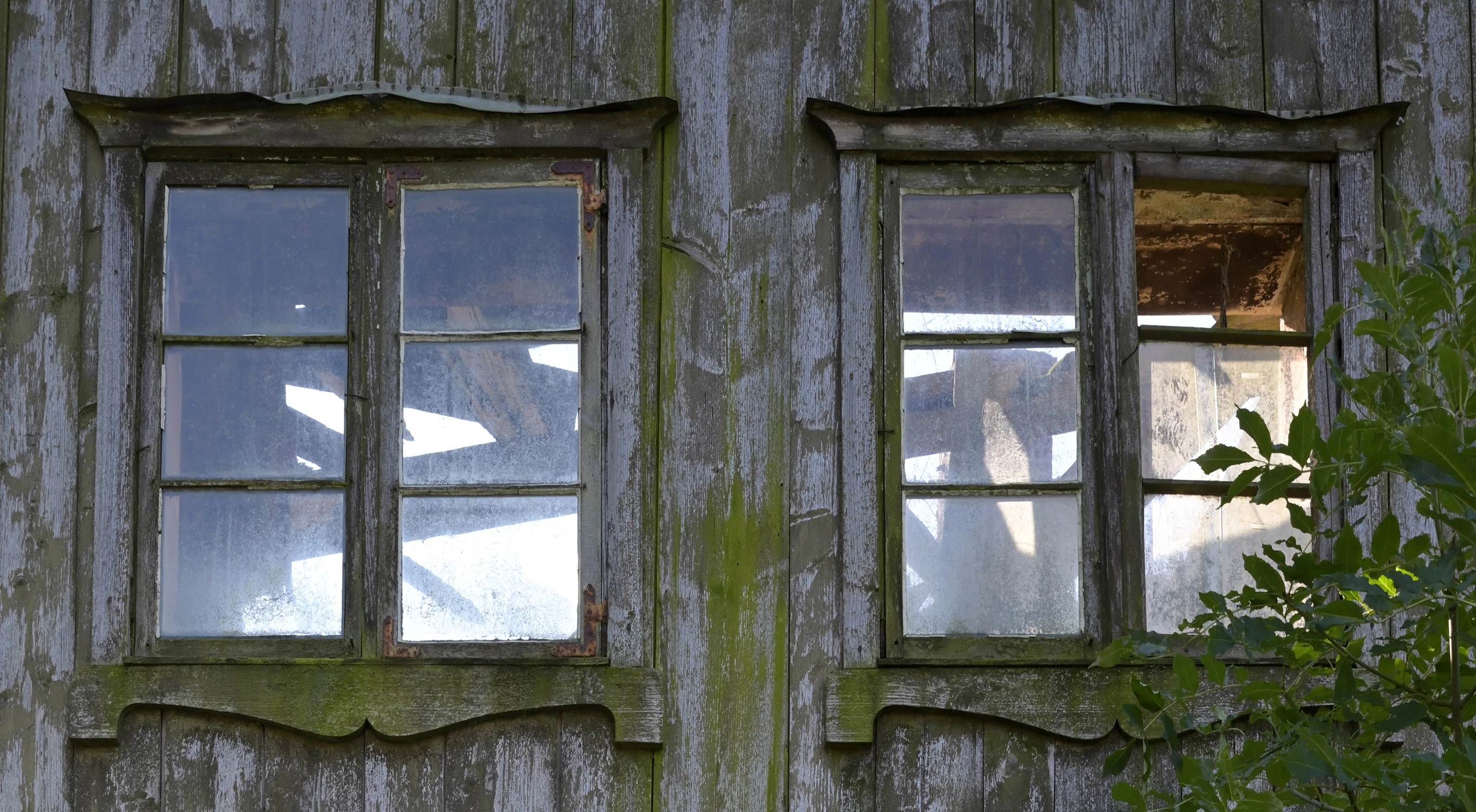 Windows