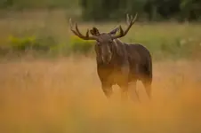 spojrzenie