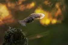 upały...