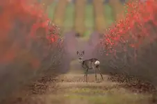 w labiryncie kolorów