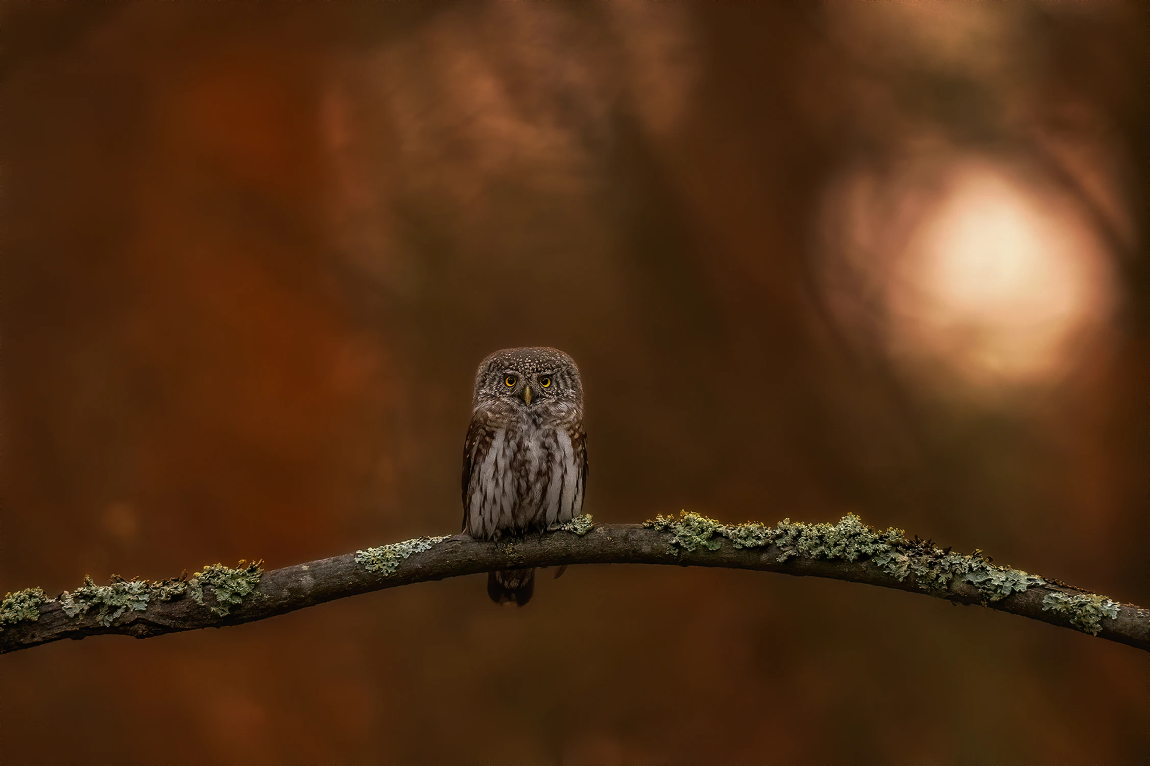 kiedy gasną światła...