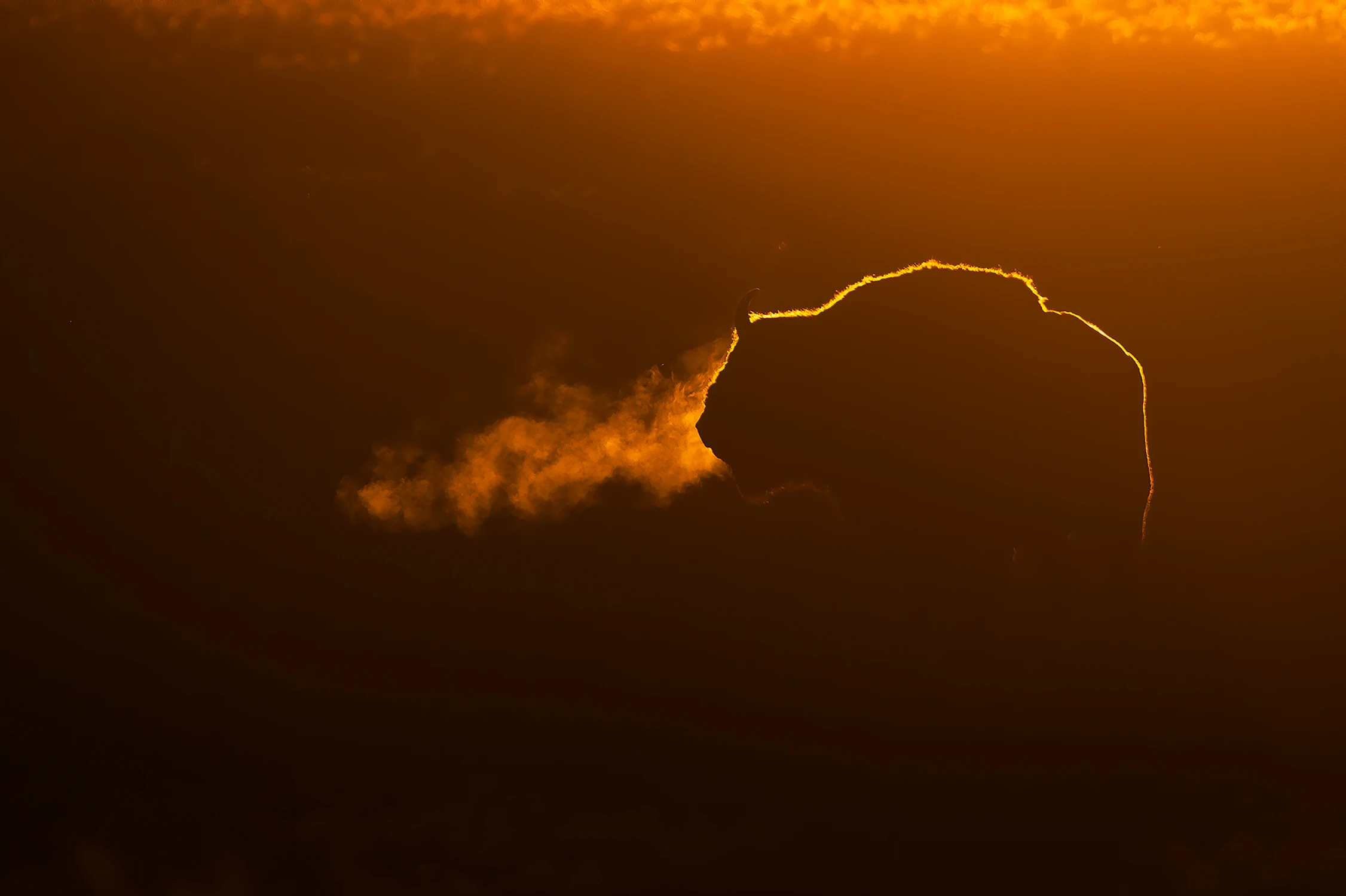 bujając w obłokach  