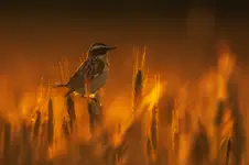 magiczne chwile... 