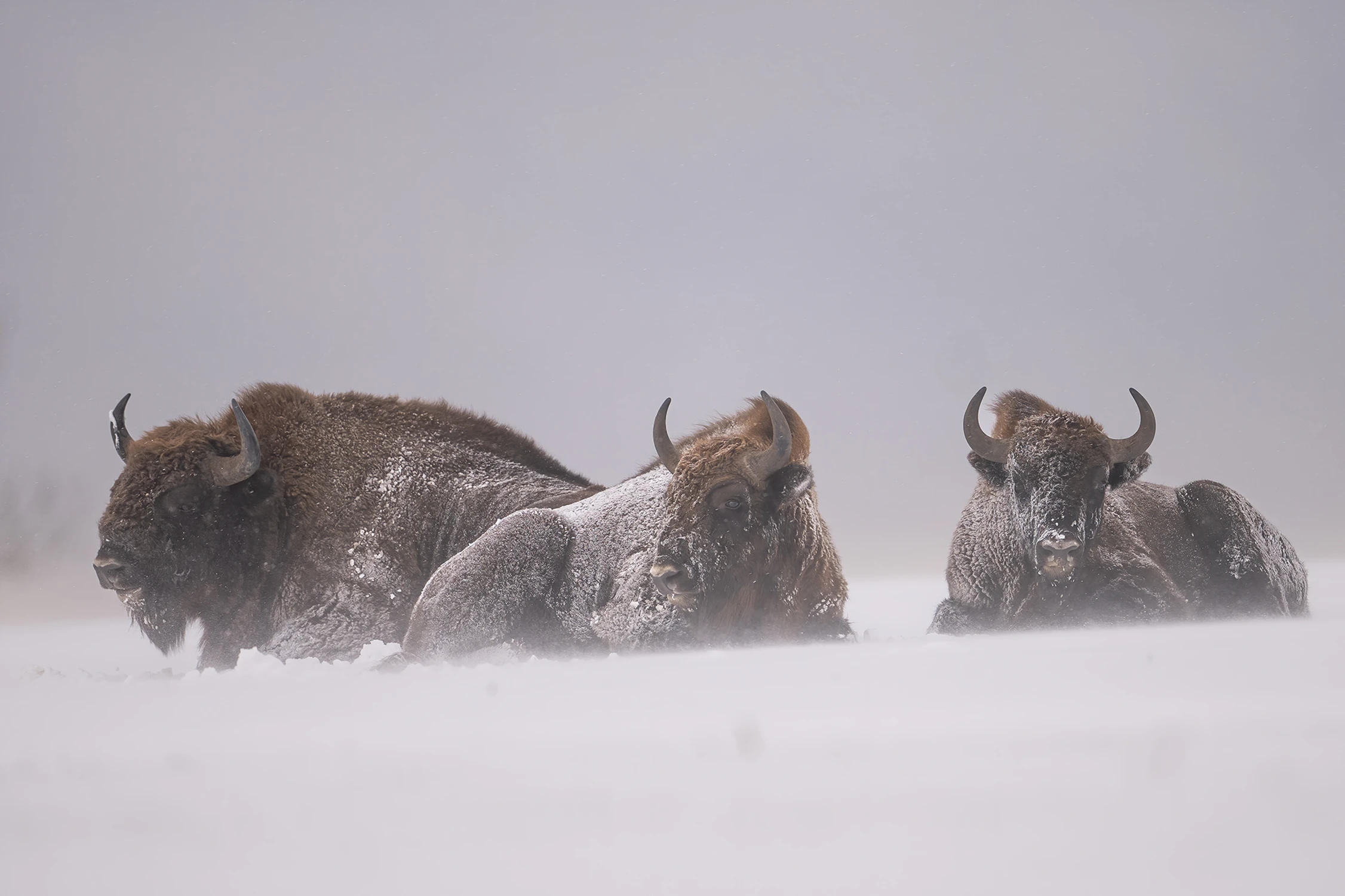 nie zawsze świeci słońce