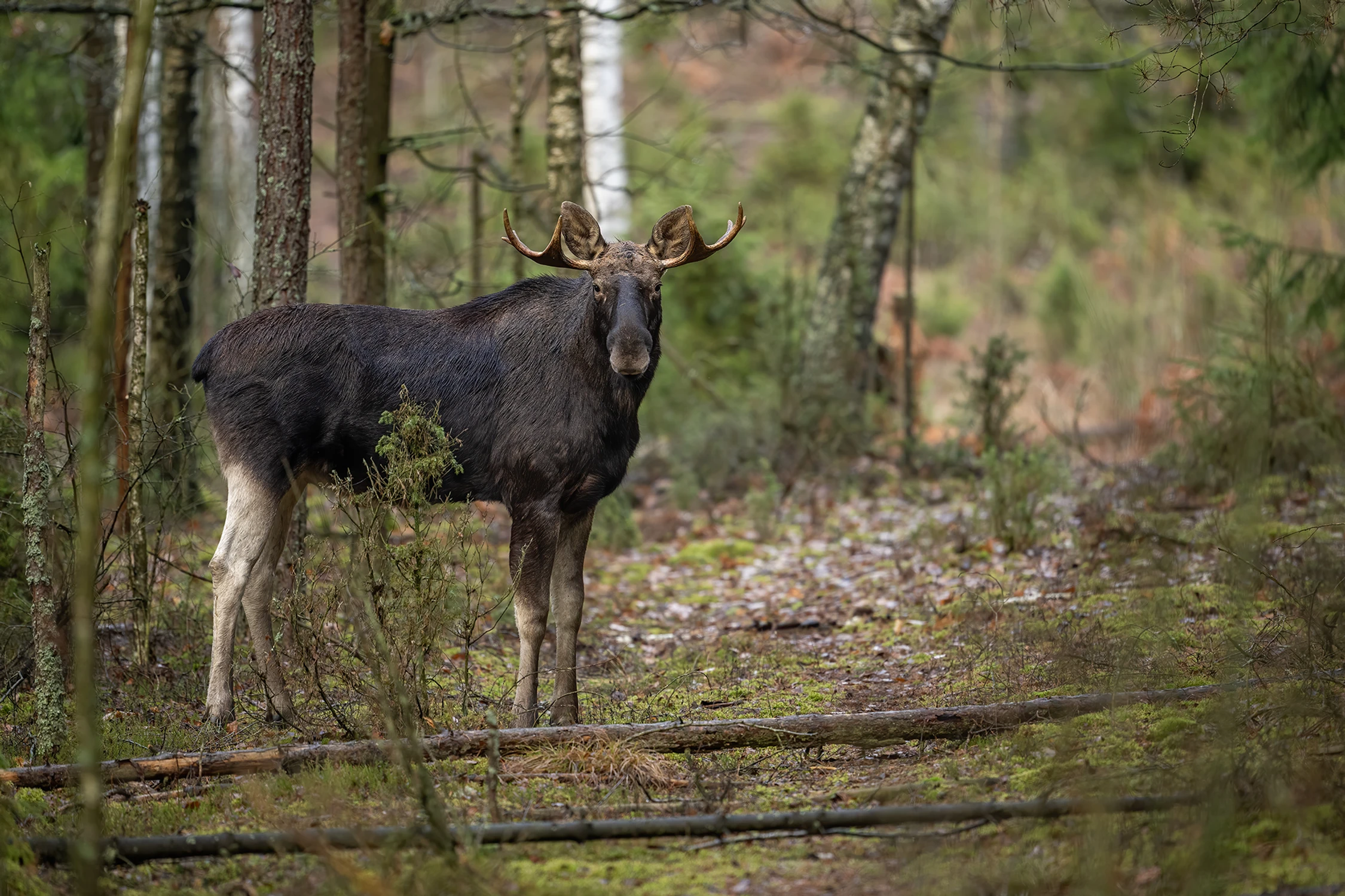 Świateczne spotkanie