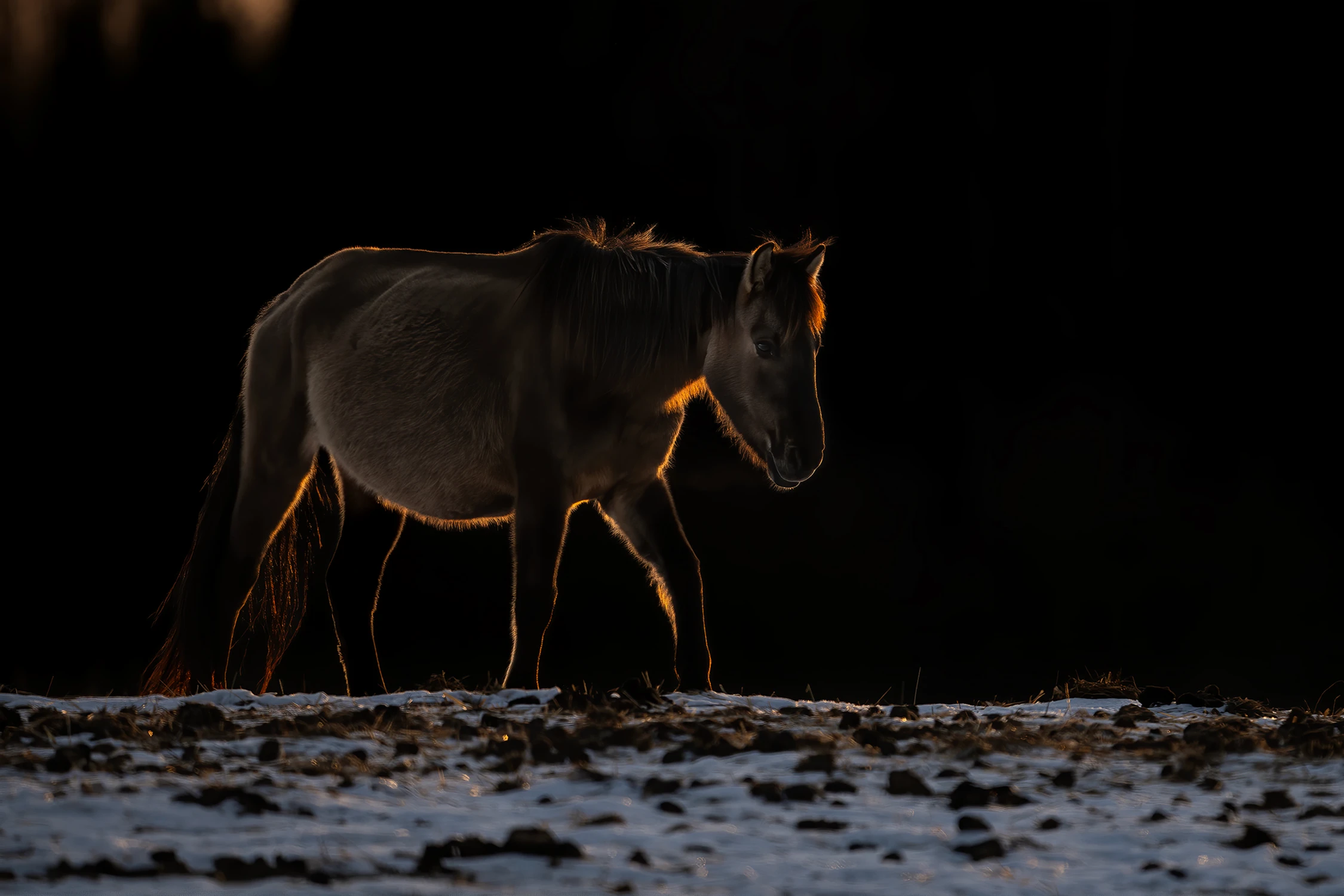 kiedy gasną światła