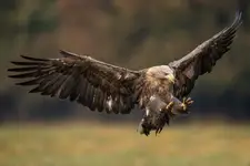 i wylądaował.... ;)