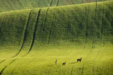 Sielanka na Morawach Południowych