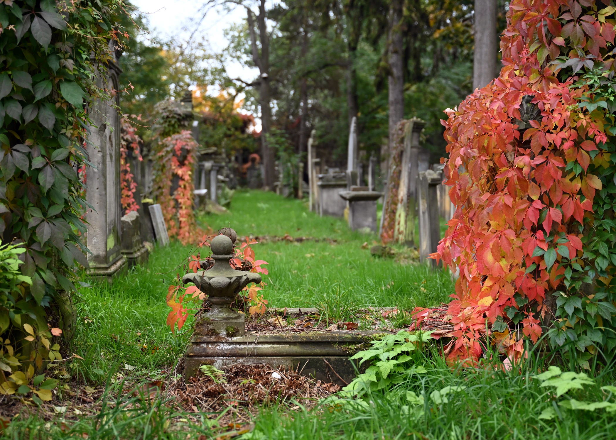 Z cyklu gasnąca pamięć