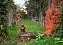 Z cyklu gasnąca pamięć