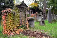 Z cyklu gasnąca pamięć