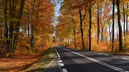 Jesień - jak to tak (za Grechutą)