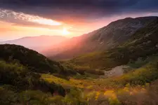 Letni poranek