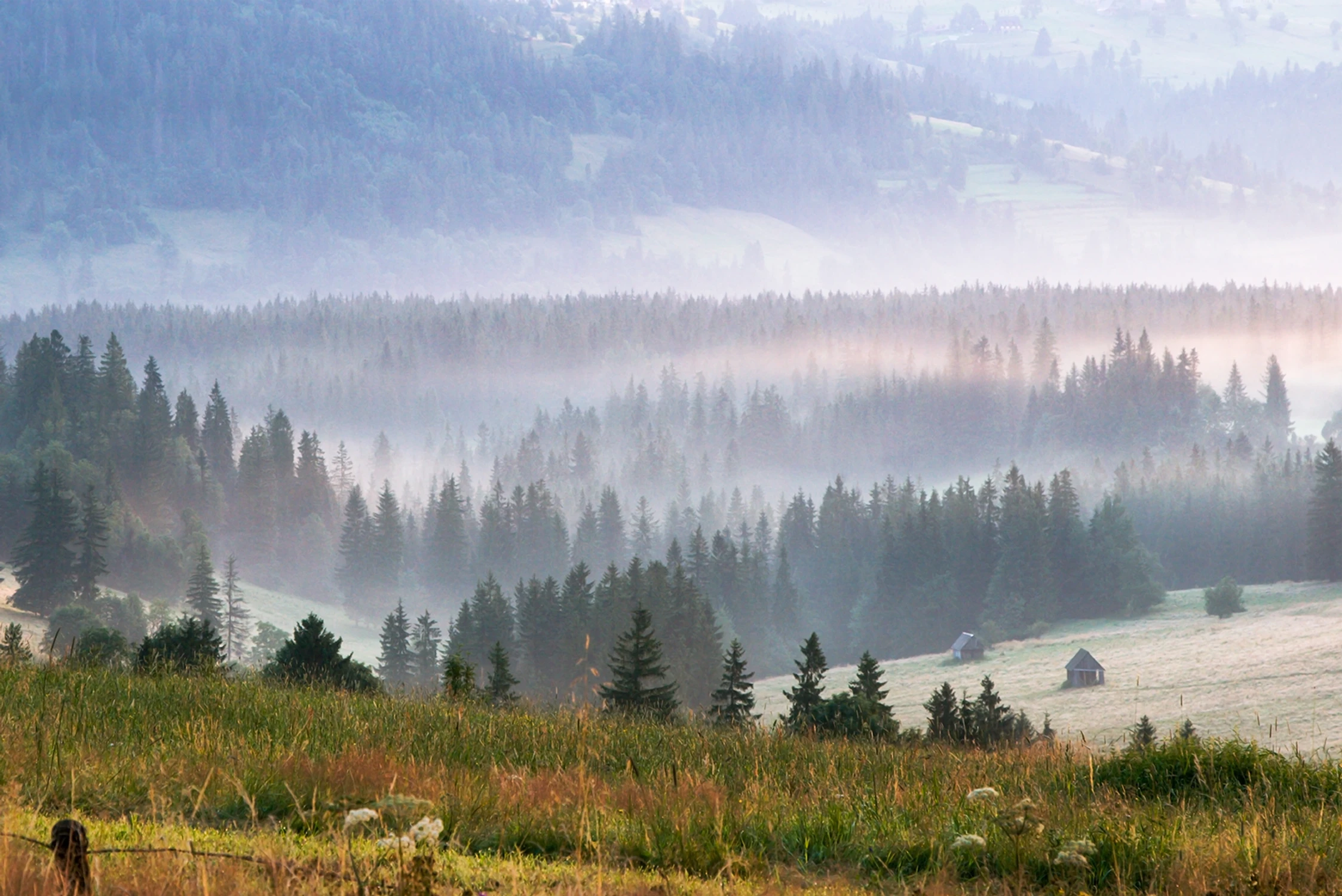 _MG_7259-