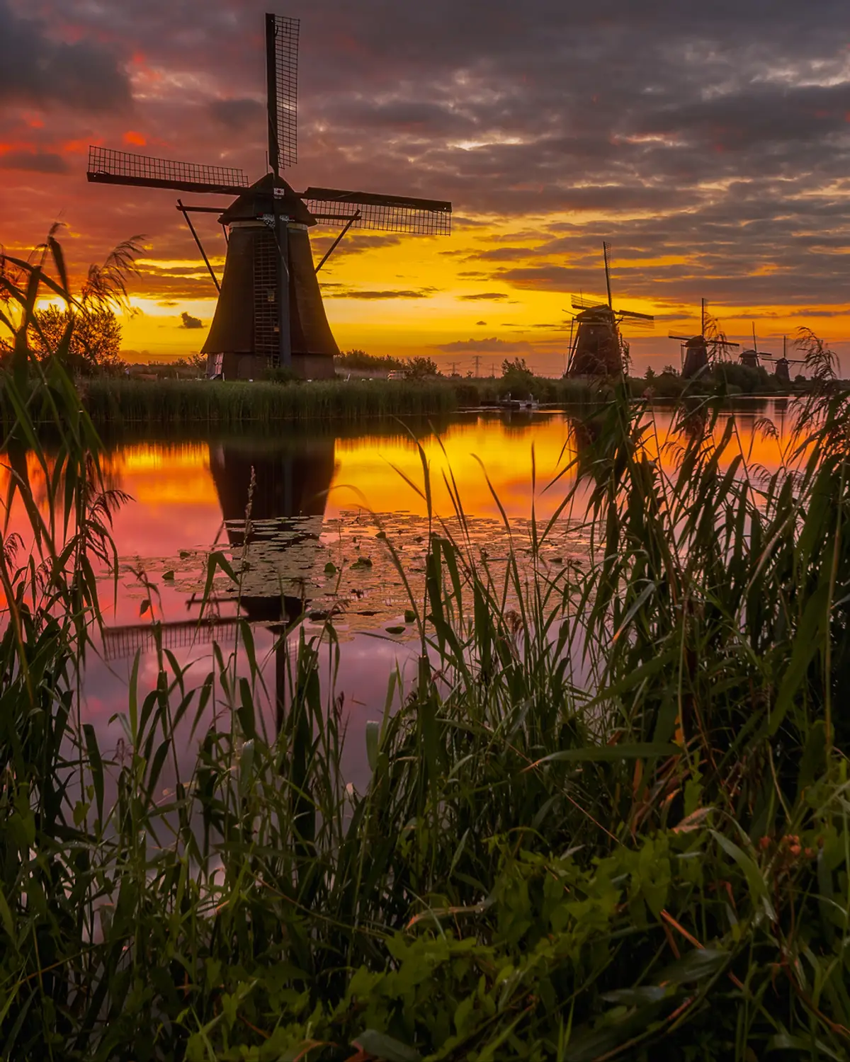 WIatraki z Kinderdijk