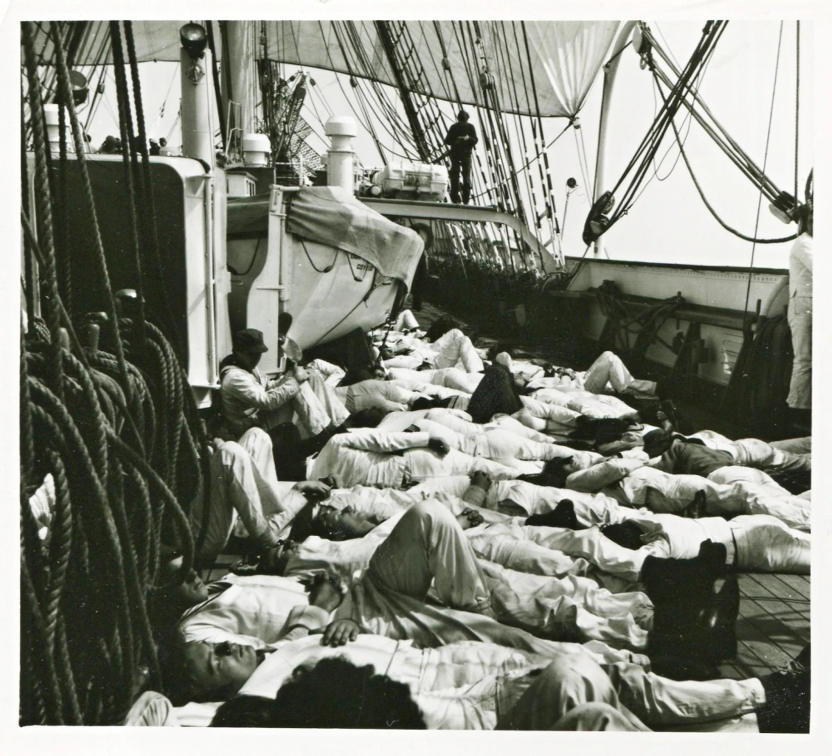 siesta