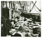 siesta