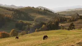 tr_261006_0033
