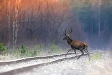 Krocząc na weekend ...