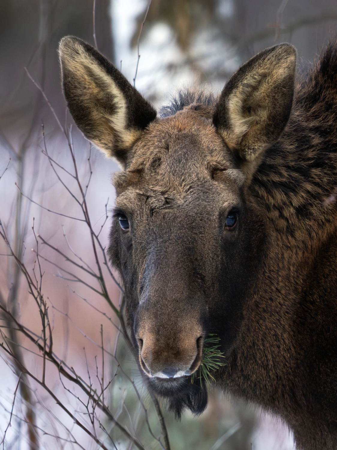 To zielone bardzo smaczne ;)
