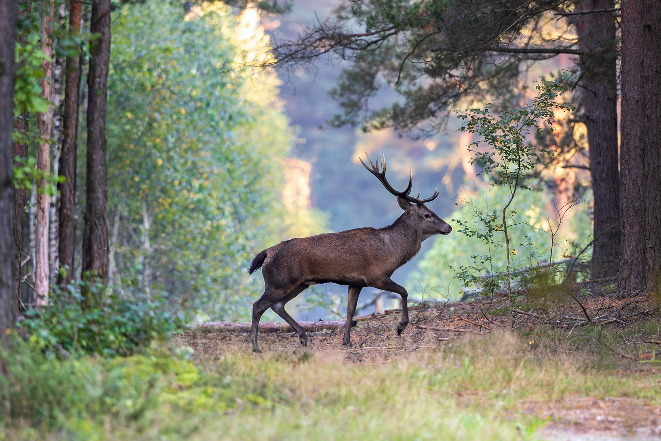 Na rozstaju dróg 