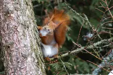 Co ... zimno ... 😛 hi hi hi