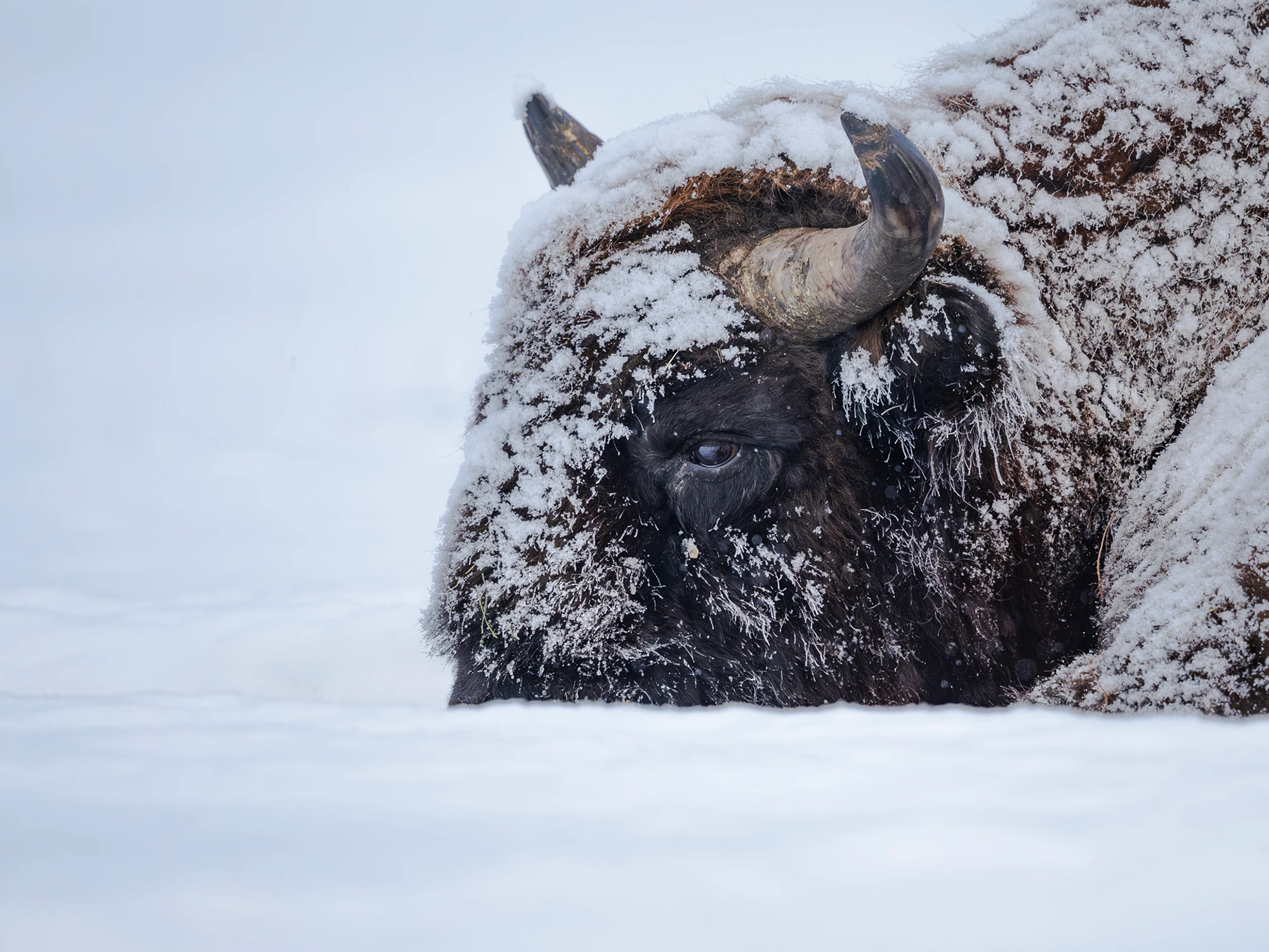 Ale ten tydzień się ciągnie ....