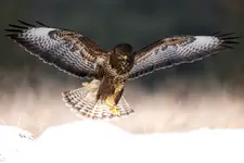 Lądujemy ... piątek ...