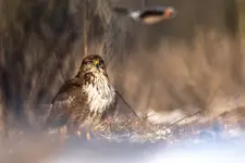 Kiedy dociera do Ciebie ta myśl ...że już poniedziałek ...