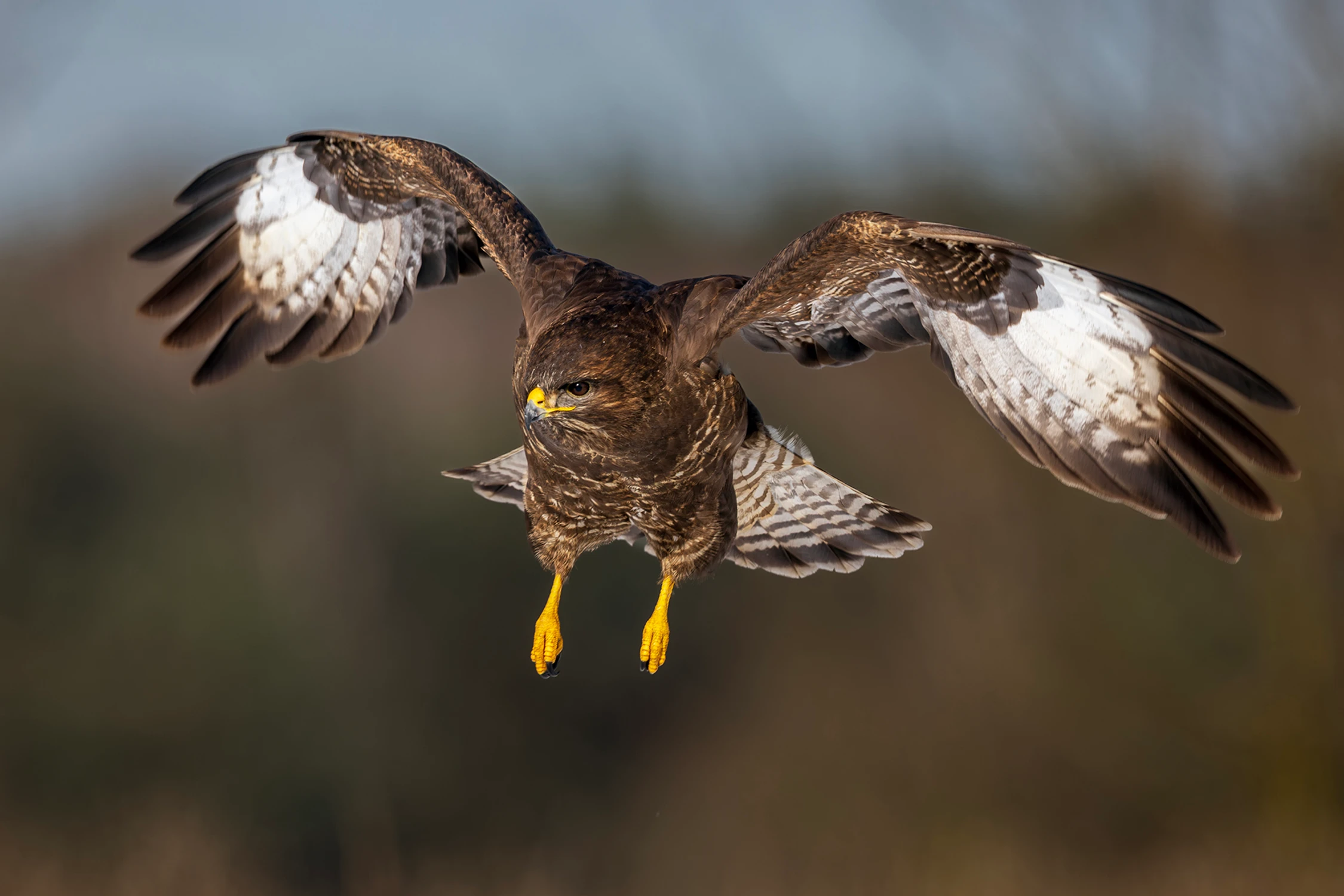 Lądowanie na weekend 